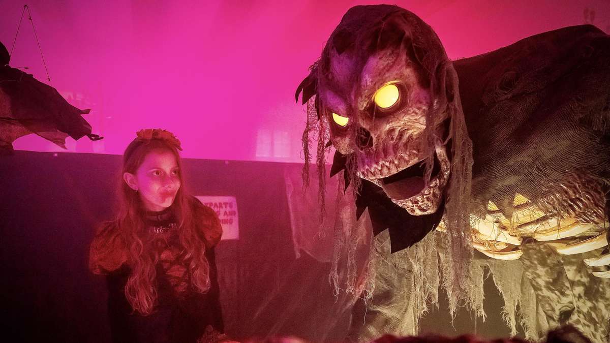 Halloween-Streich oder Straftat: Polizei warnt vor Geldstrafe bis 10. ...