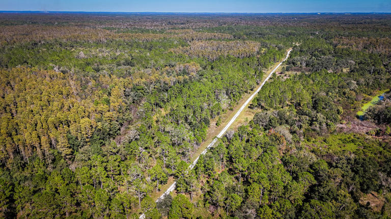 67-acre purchase is a major win for local wildlife, Pasco says