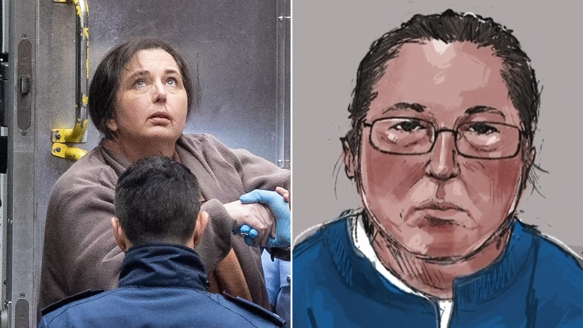 Mushroom killer Erin Patterson's fate to be decided in Supreme Court appeal