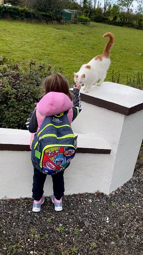 Loyal cat walks six-year-old girl to school bus every morning
