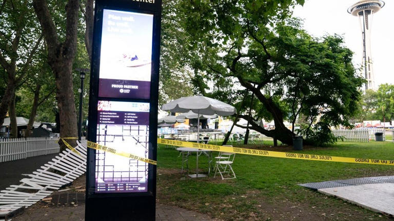 Councilmember proposes $1M for Seattle Center surveillance cameras ...