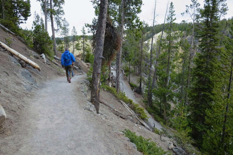 Yellowstone digital detox: A week off the grid