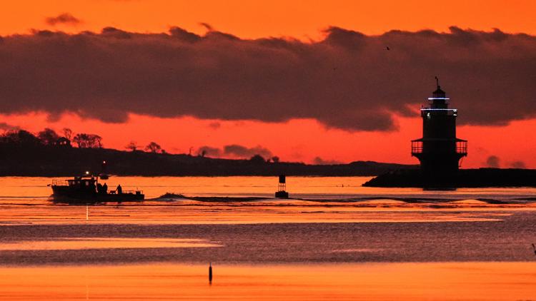 Trump administration unveils seafood strategy, proposes voluntary US labels