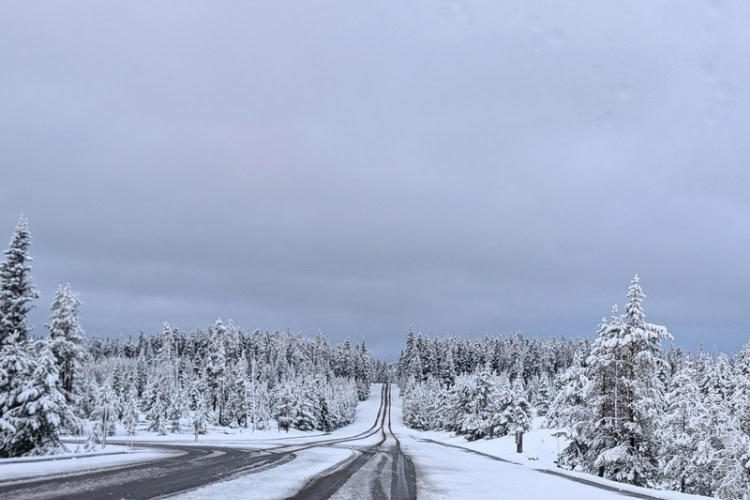 Yellowstone digital detox: A week off the grid