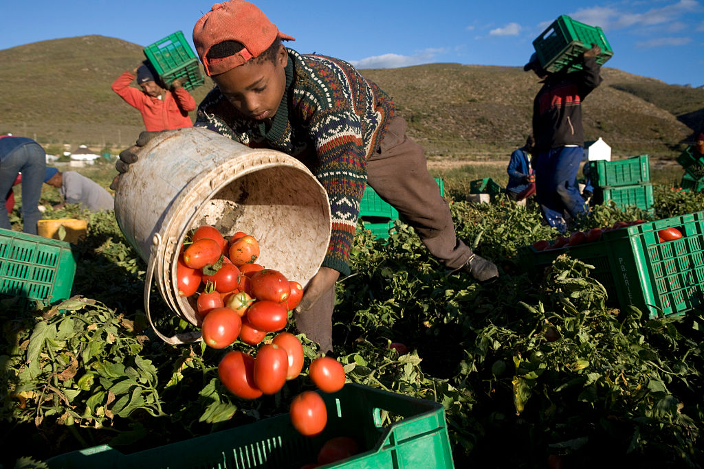 The food industry is rife with worker abuse