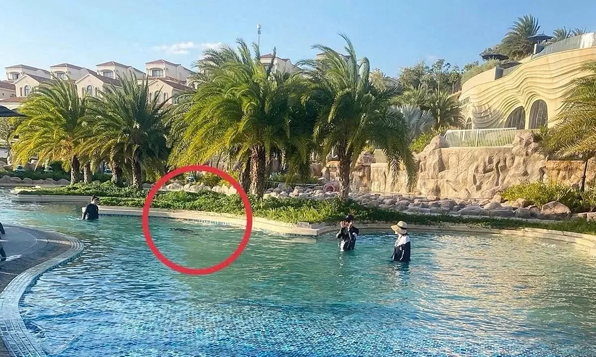 Japanese boy's drowning at Vietnam 5-star resort avoidable with proper ...