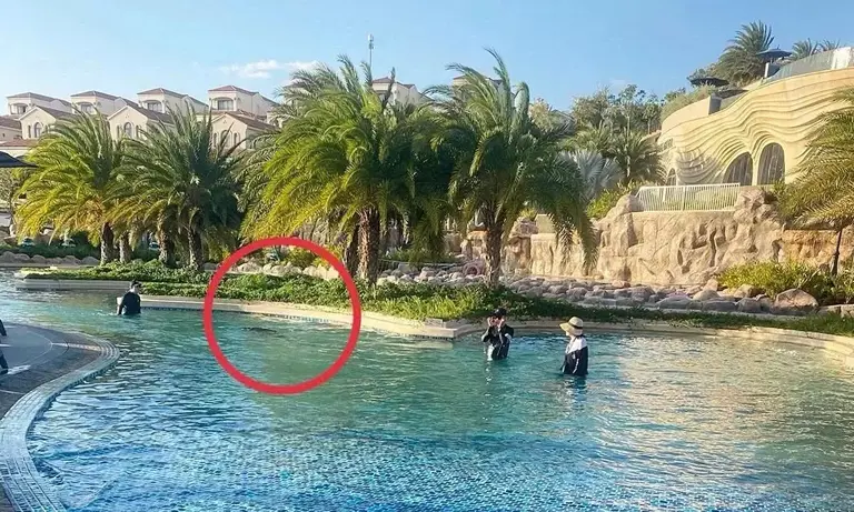 Japanese boy's drowning at Vietnam 5-star resort avoidable with proper ...