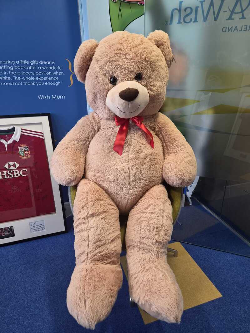 Five-foot Make-A-Wish bear still missing after Irish Open but private ...