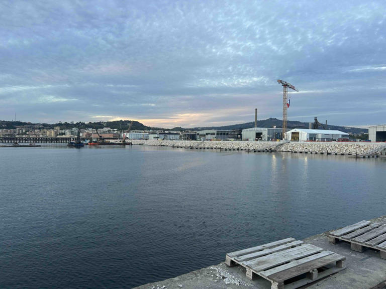 Naples Shipping Week tra governance, competitività dei terminal e il ...