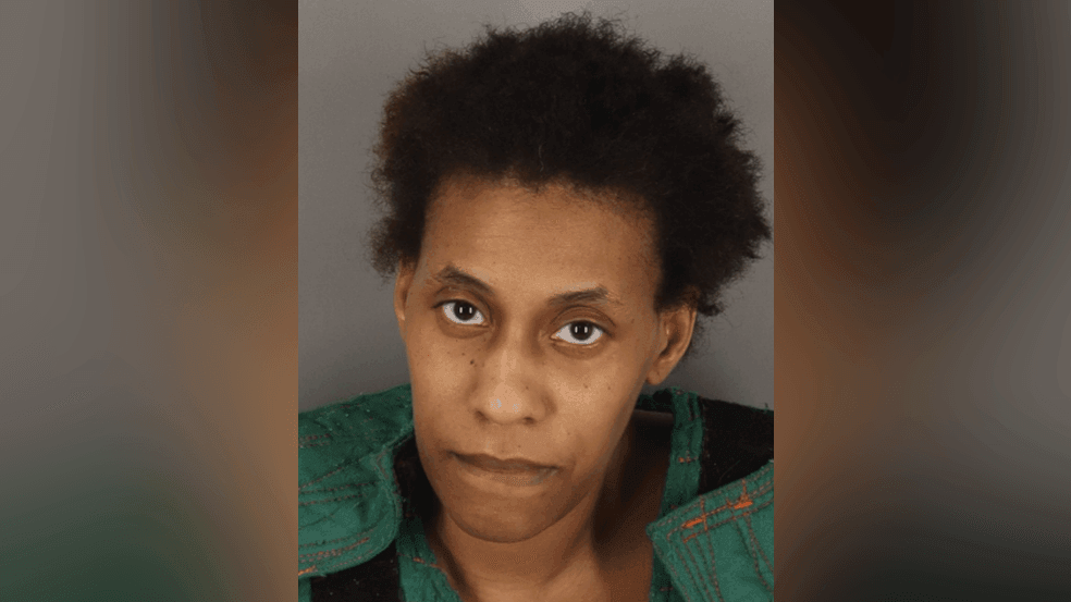 Indictments: Woman left 6 young children alone in insect-filled ...