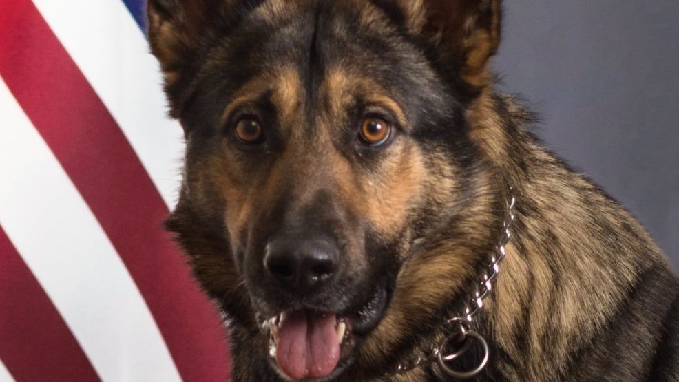 Vinton's first police K-9, Gino, dies after retirement