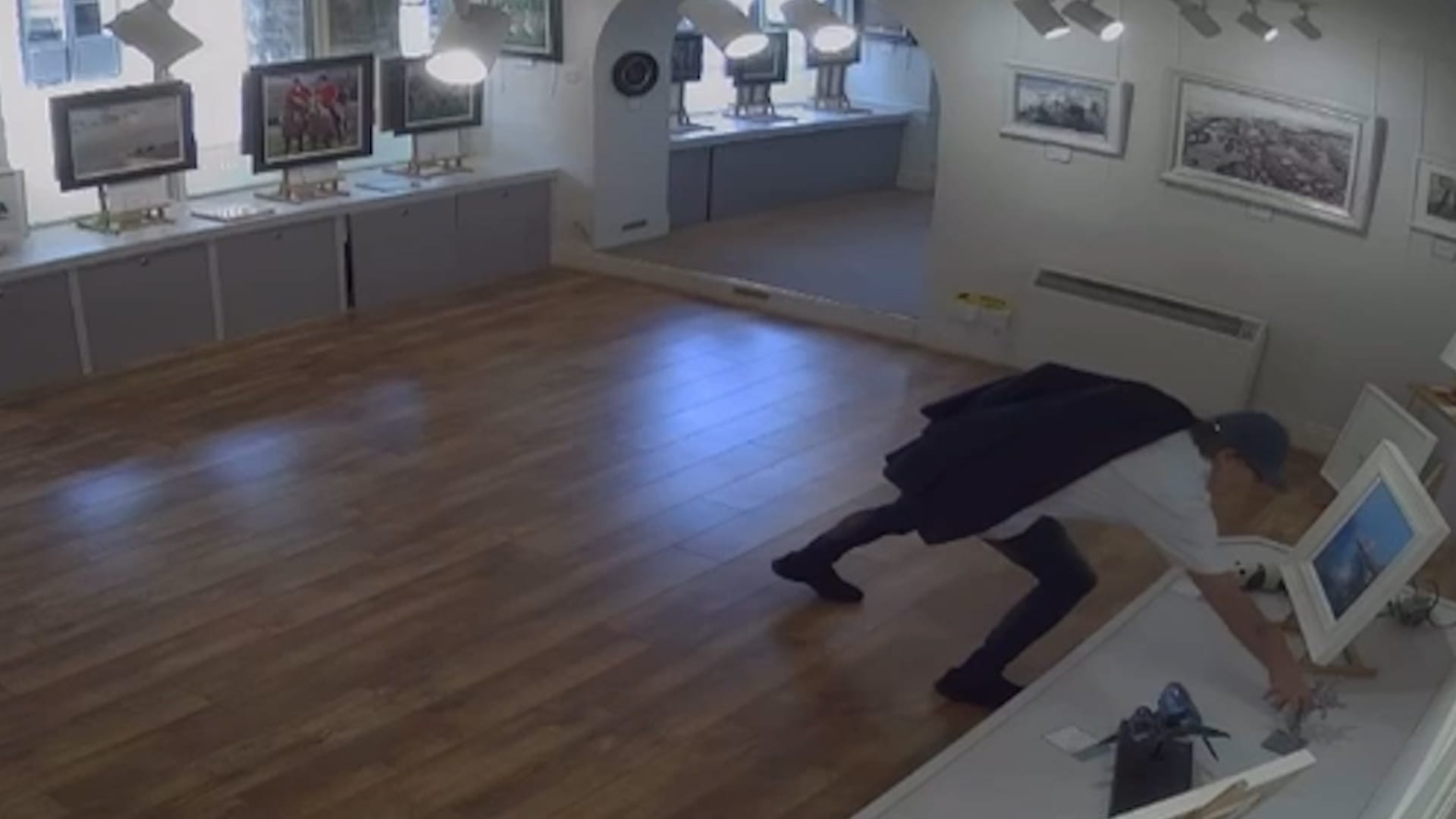 CCTV captures man stealing £1,850 bronze turtle sculpture from art gallery