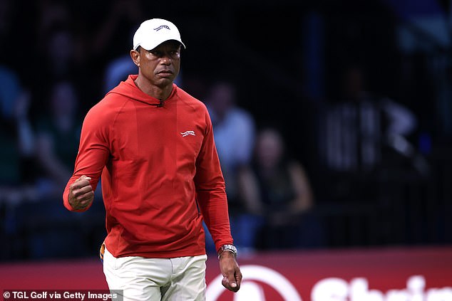 Tiger Woods expected to return to golf in December