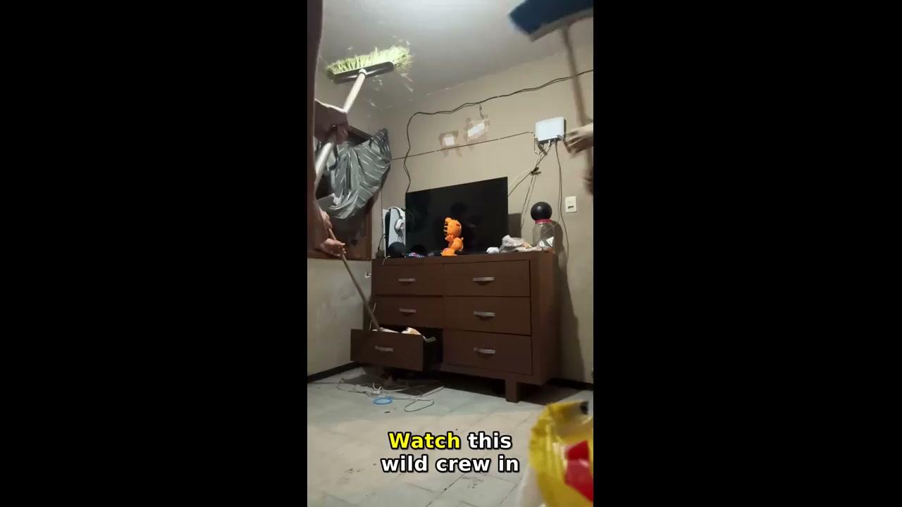 Friends try to catch a rat in León, Guanajuato