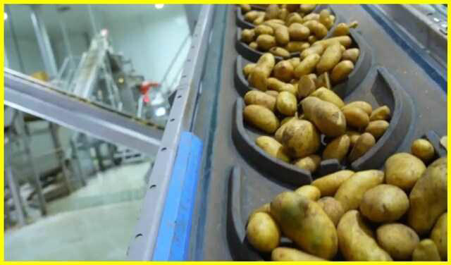 Prime Minister Modi to inaugurate expanded French fry processing plant ...