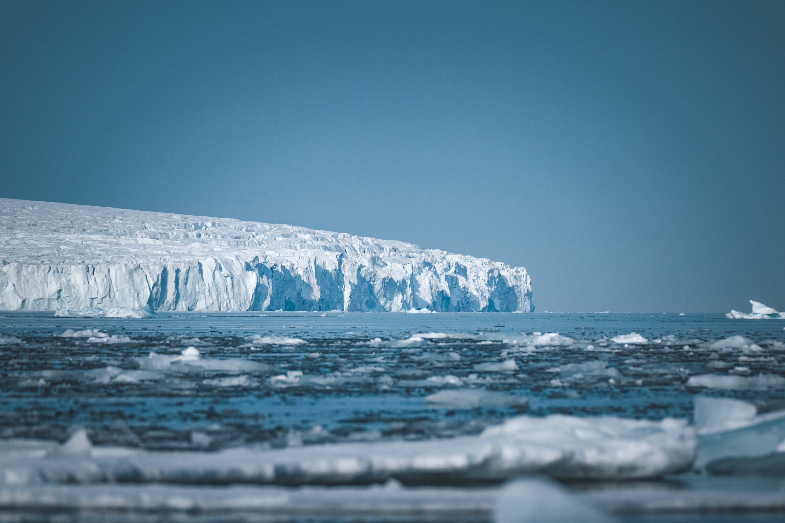 Antarctic sea ice collapse flipped Southern Ocean chemistry: Climate ...