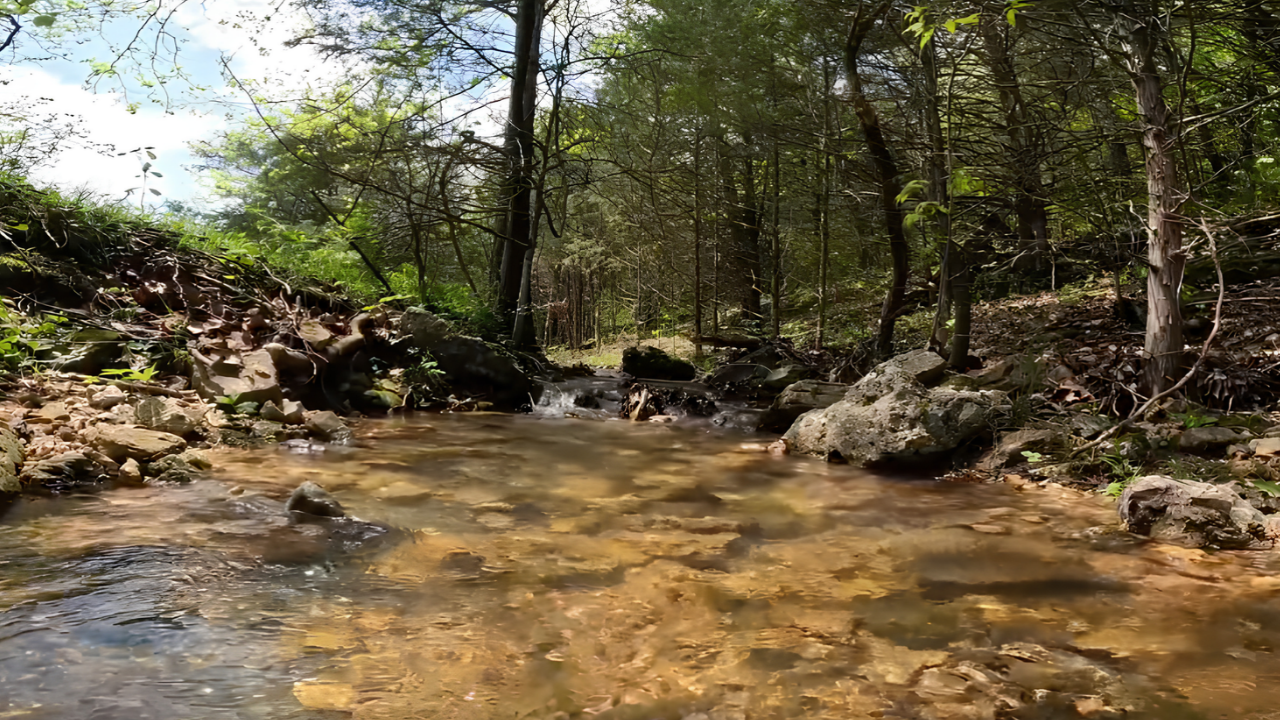 Exploring a Missouri creek mystery