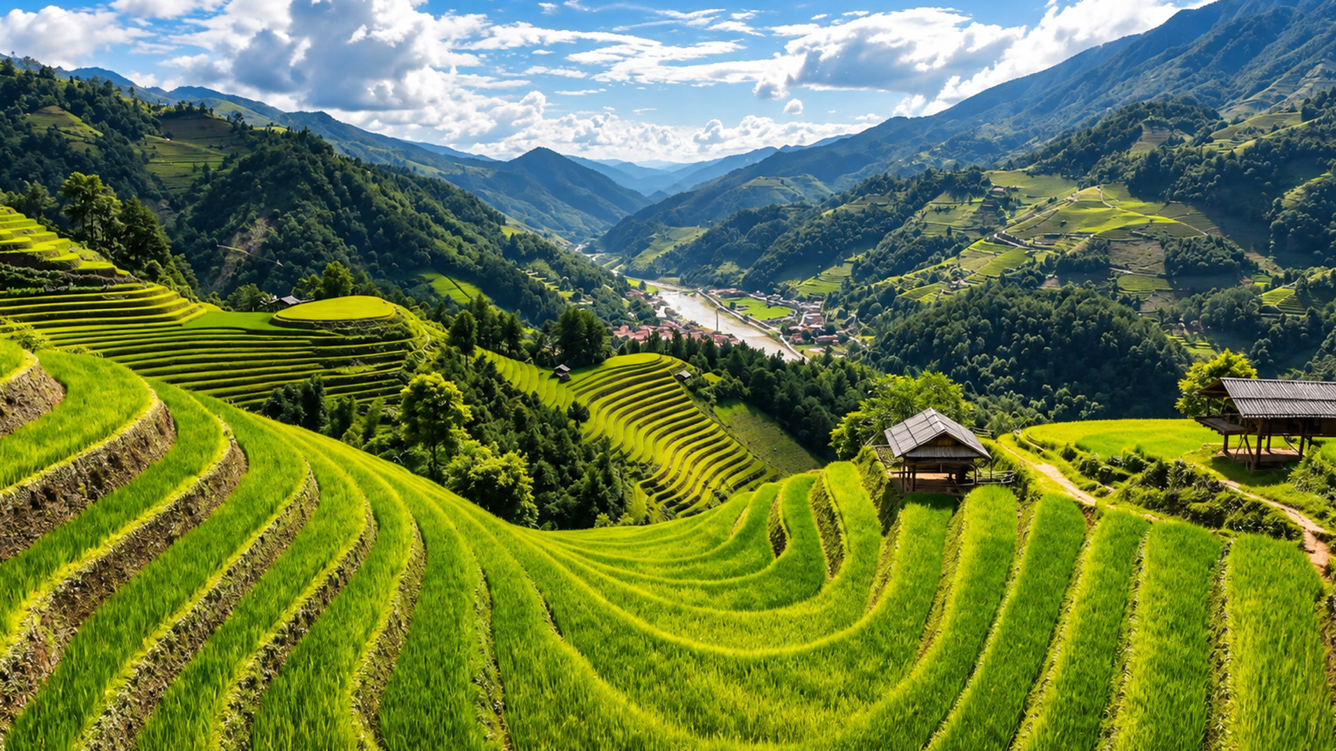A sea of green terraces between towering mountains