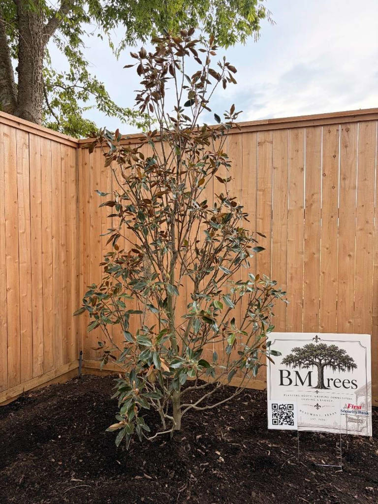 Beaumont Trees is putting down roots for a greener city