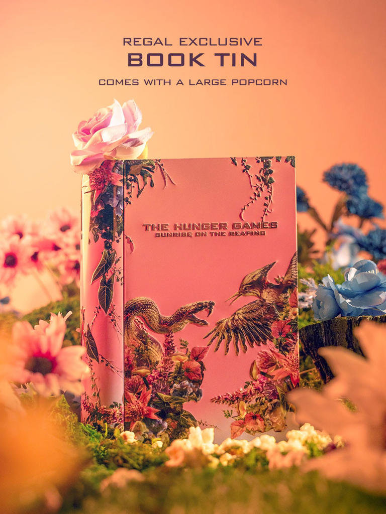 Sunrise on the reaping merch: Where to get book tin, blanket, more