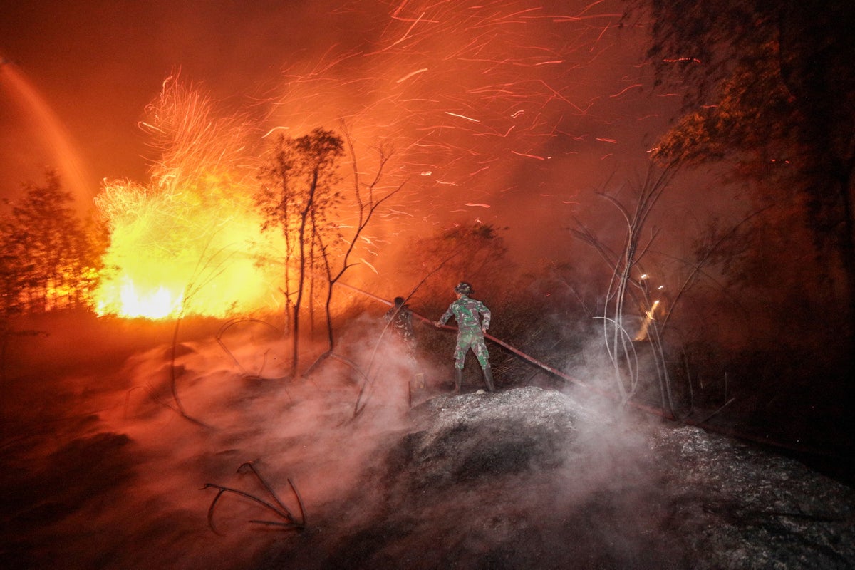 Super El Niño could lead to nearly 900,000 deaths, warn scientists
