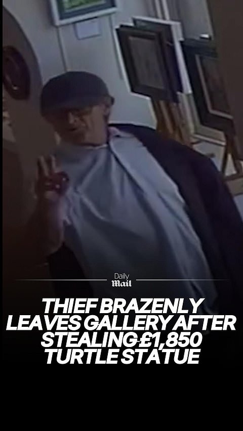 Thief leaves art gallery after stealing a bronze turtle statue