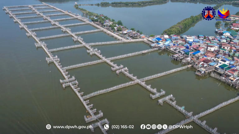 Philippine village uses nature to defend against floods with bamboo ...