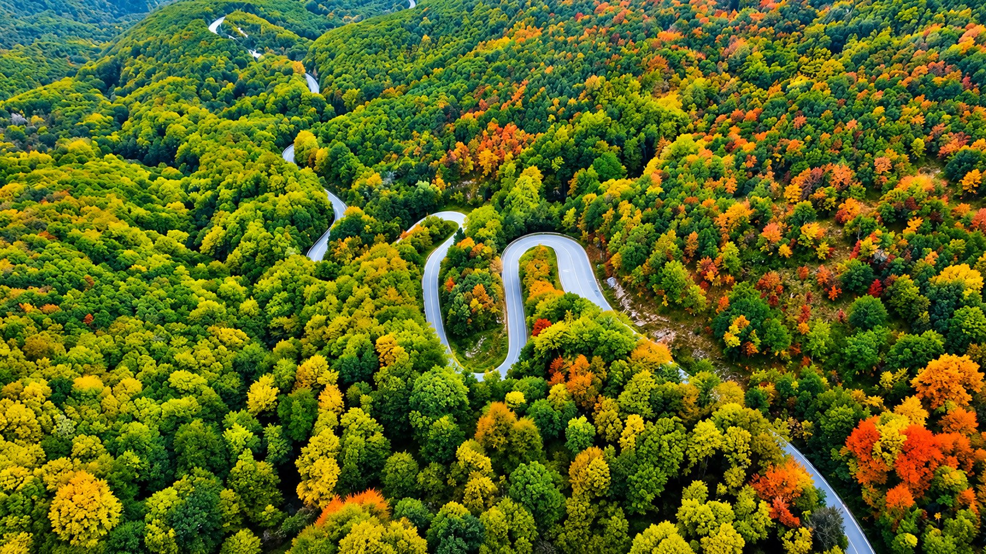 A mountain road cuts through Slovenia's colorful autumn landscape
