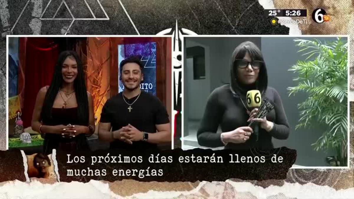 ¿Cómo deshacernos de larvas energéticas?