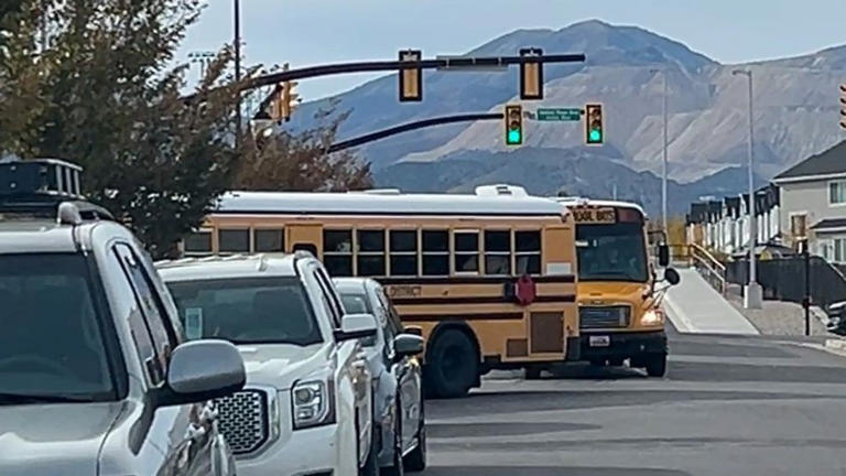 Vetting questioned after school bus driver accused of child video voyeurism