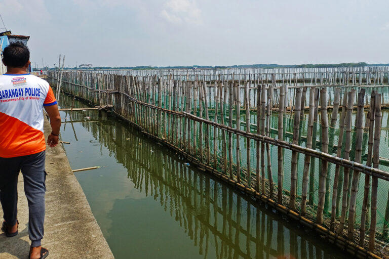 Philippine village uses nature to defend against floods with bamboo ...