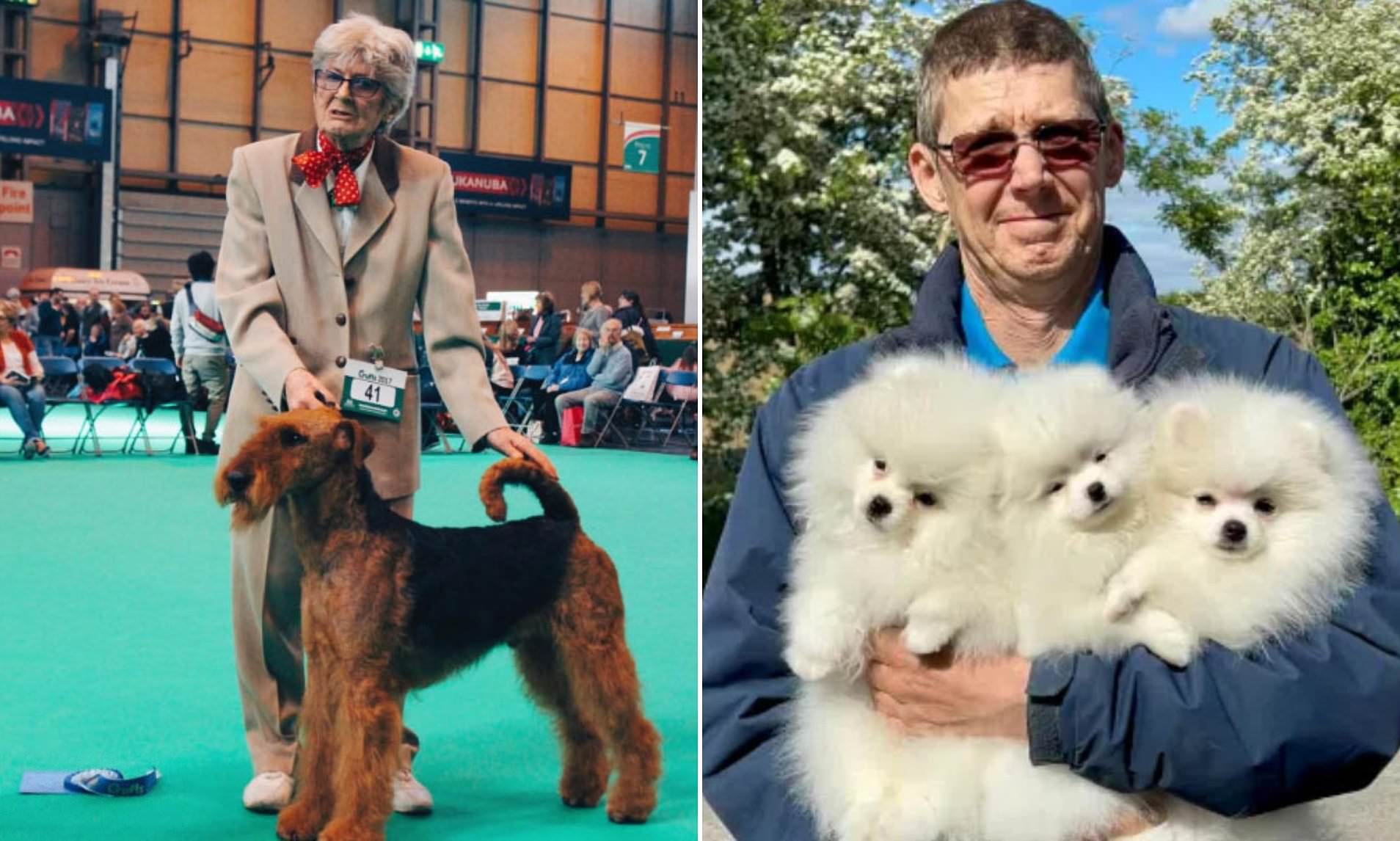 Son and kennel hand battle over Crufts champion breeder's £1.1m will