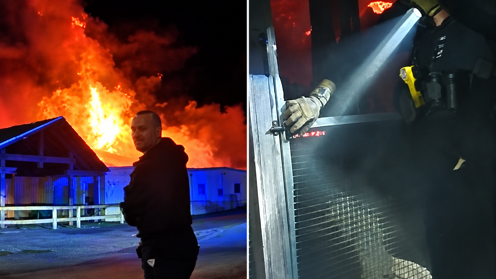 Police officers rush into a burning zoo then break open animal ...