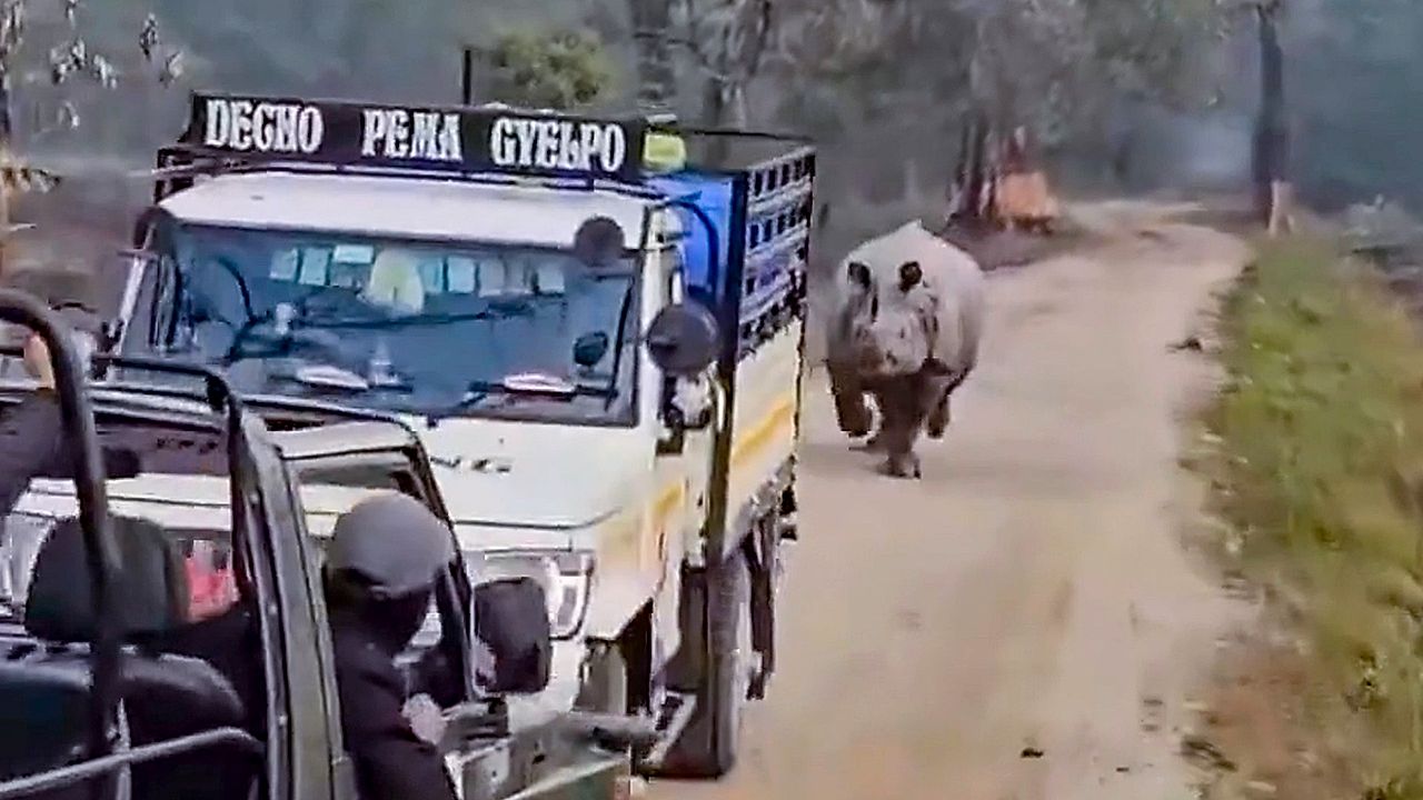 Charging rhino chases safari jeeps during tense encounter in India