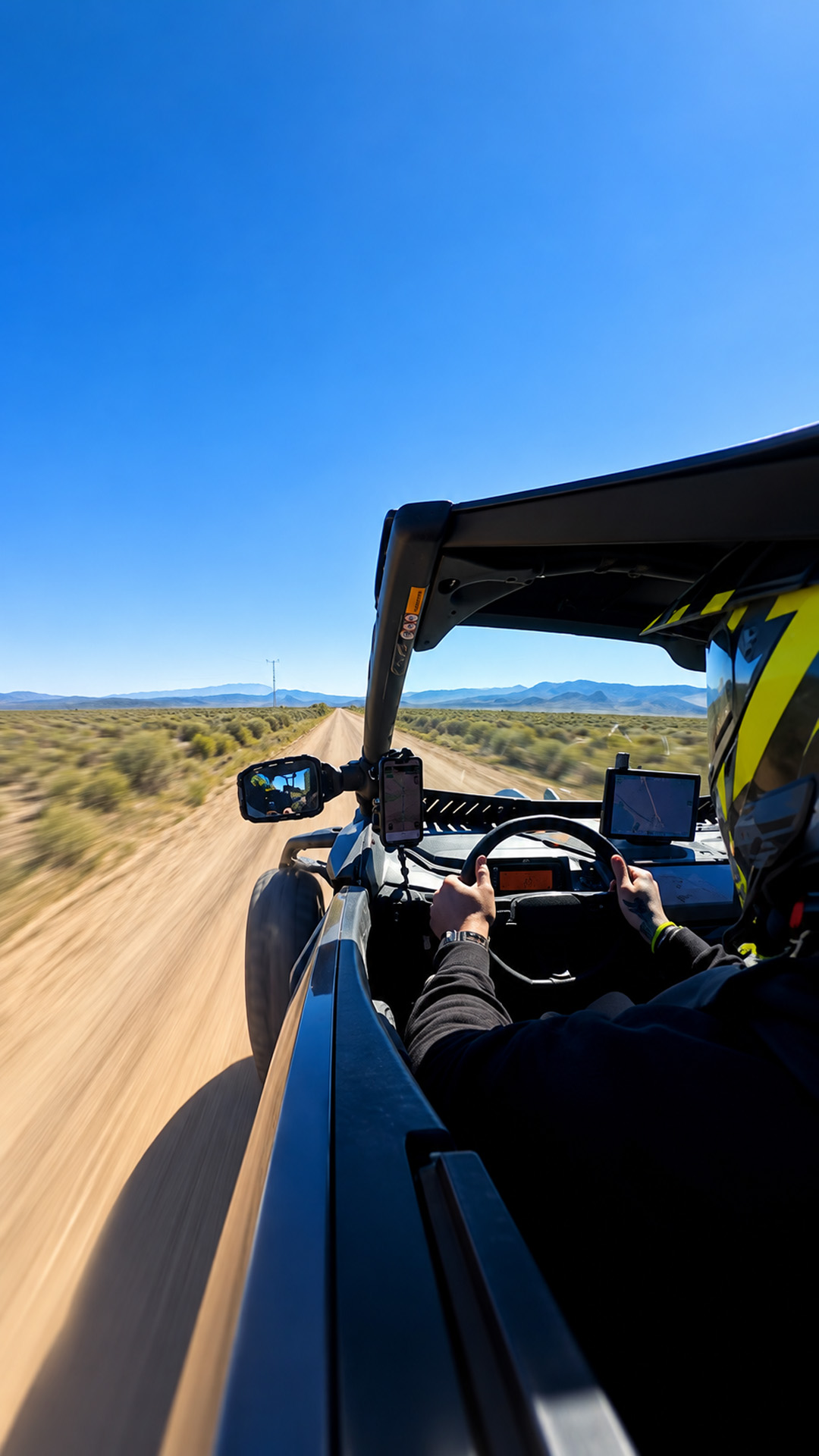 Searching for the endangered Mojave Desert tortoise in the wild