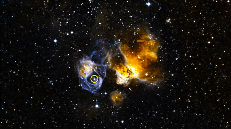 A gamma-ray powerhouse's smoking gun? Gas trail points to microquasar jets