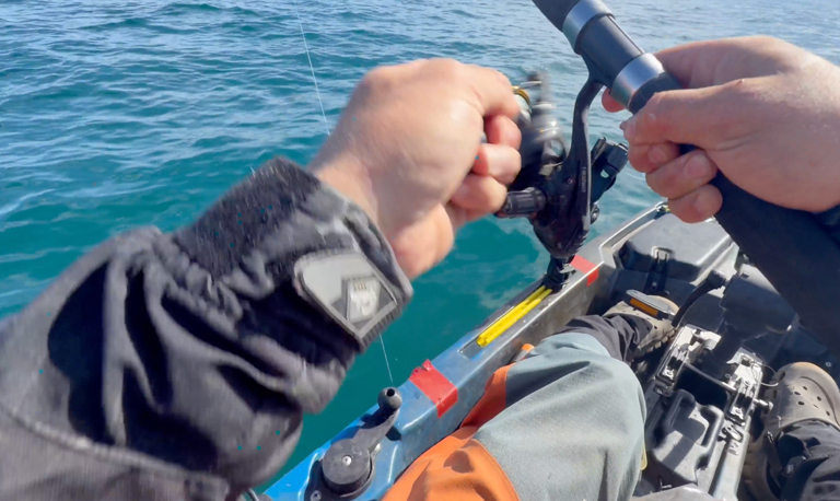 Watch: Great white shark gives kayaker fright of his life while fishing ...