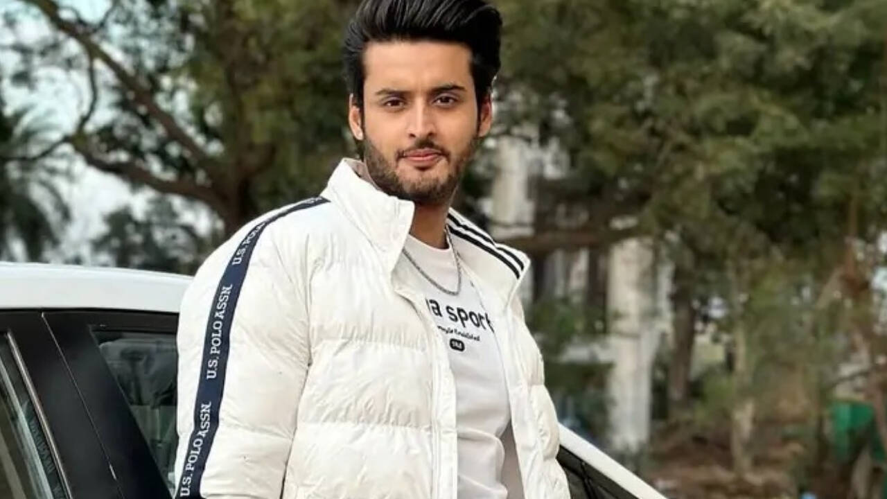 Gratitude and ambition: Shagun Pandey reflects on TV journey; aims to ...