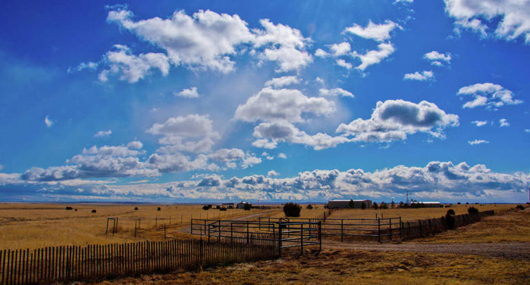 New beef plant in Dimmitt aims to add jobs in Texas Panhandle