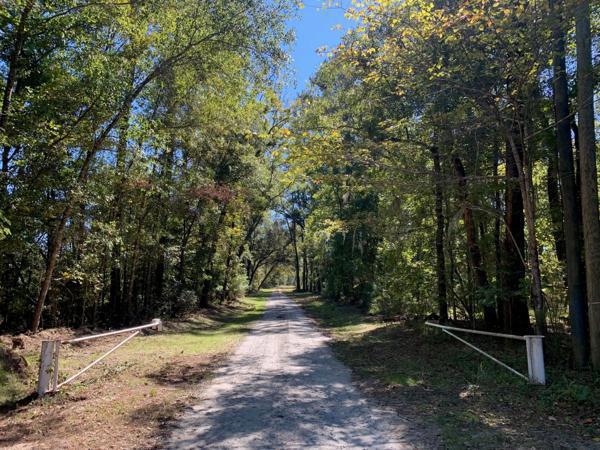 New Lowcountry state forest will offer 2,800 acres of recreational ...