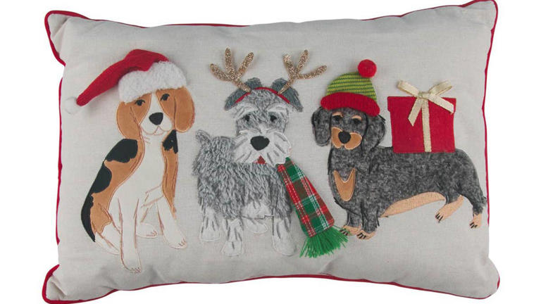 Dollar General’s $10 dog pillow serves up a Neapolitan trio of ...