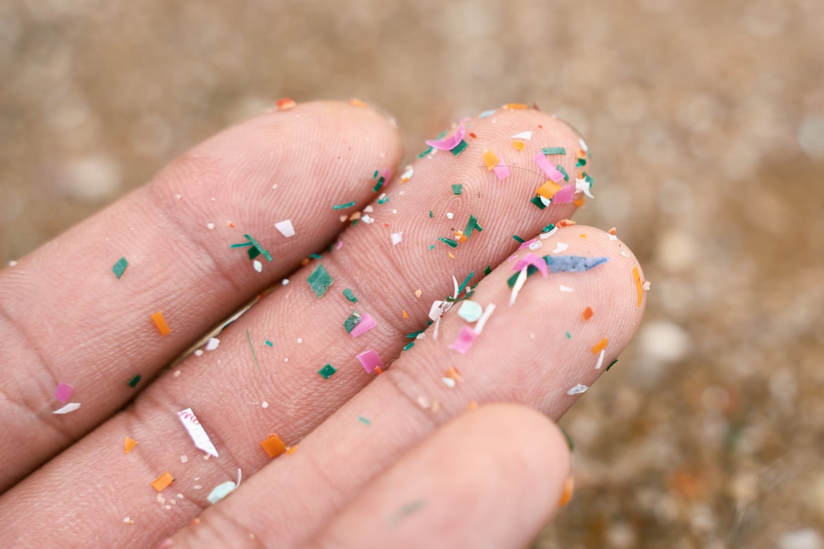 Microplastics are raining down on Everest - how does this affect us?
