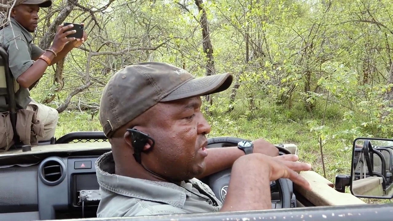 Kapama guide explains how leopards use their claws