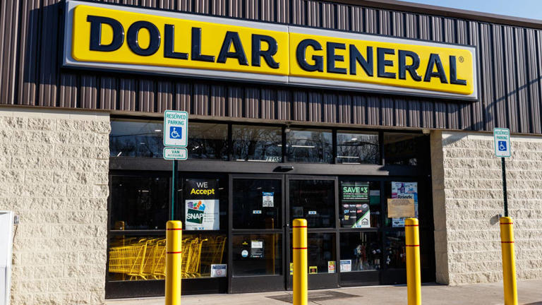 Dollar General’s $10 dog pillow serves up a Neapolitan trio of ...