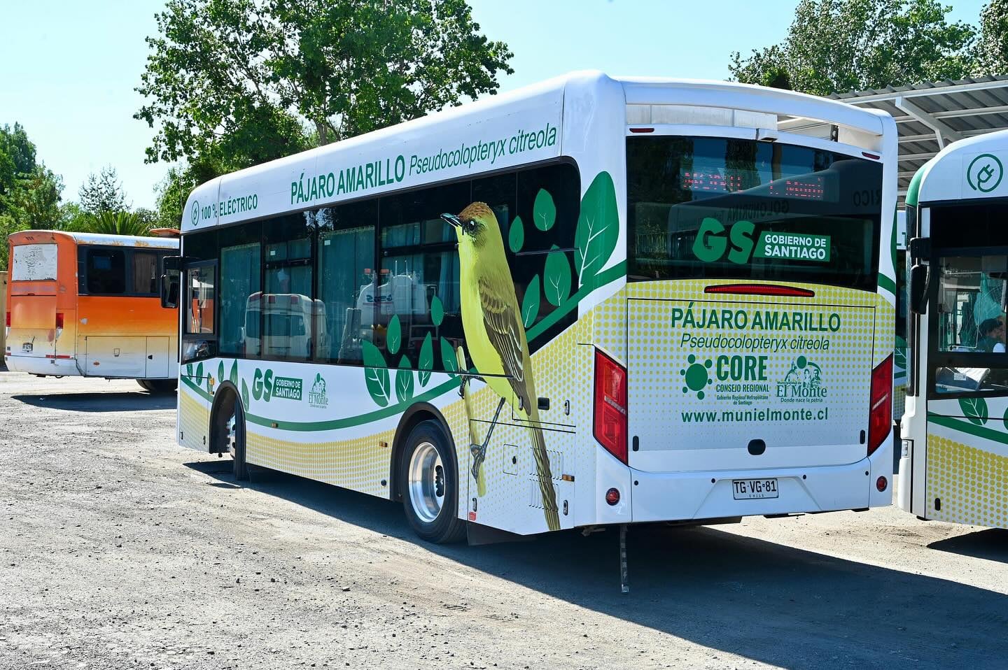Municipalidad de El Monte suspende funcionamiento de buses gratuitos ...