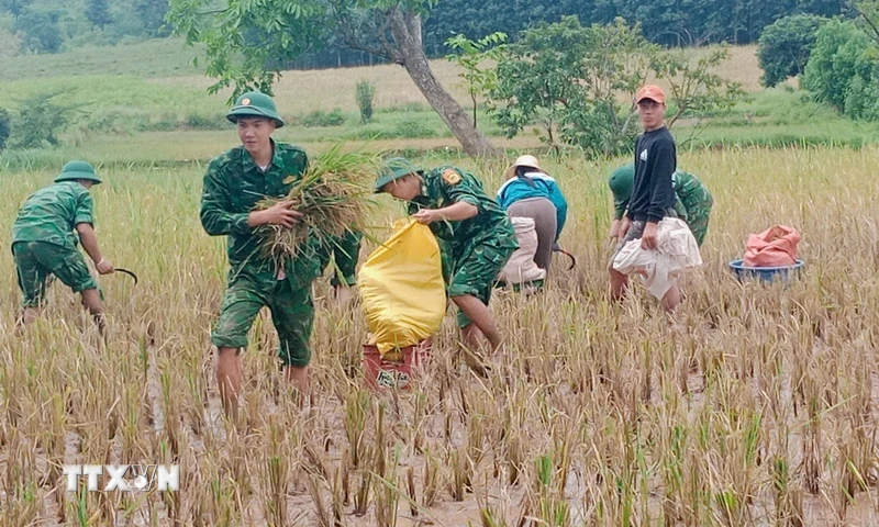 Phát động phong trào toàn dân xây dựng nền quốc phòng vững mạnh, hiện đại