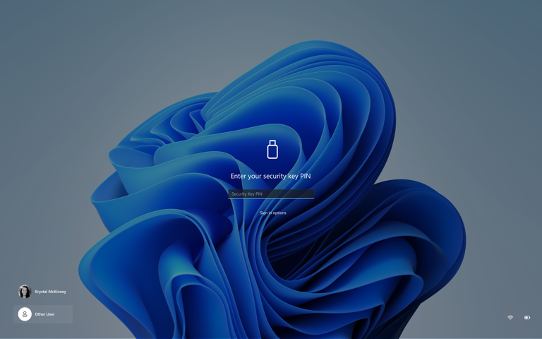 Windows 11 gets more control over desktop app permissions with the new ...