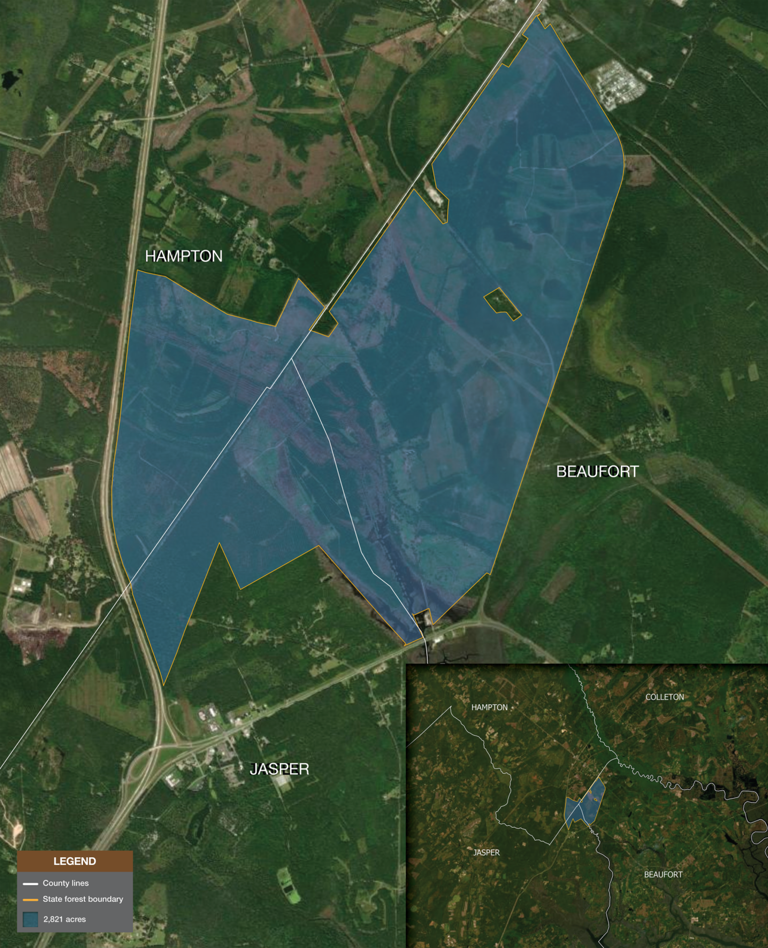 New Lowcountry state forest will offer 2,800 acres of recreational ...