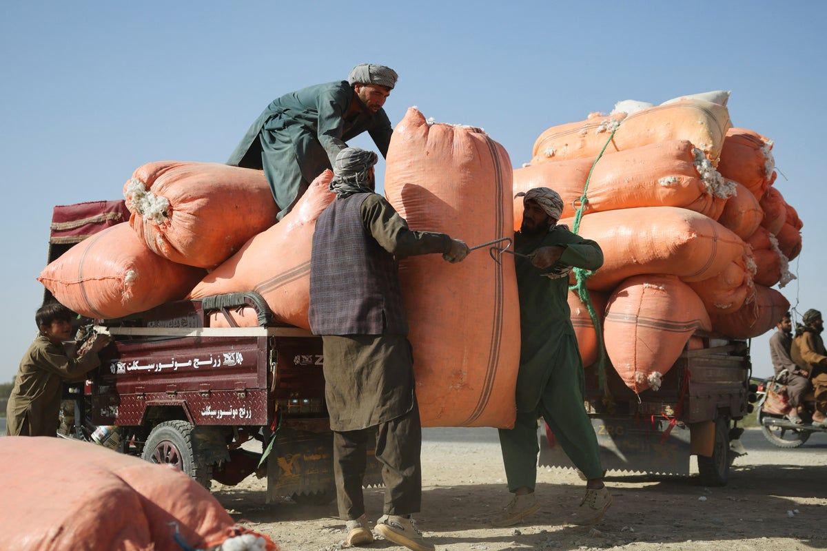 Trump plans mass deportation of Afghans facing grave risk from Taliban