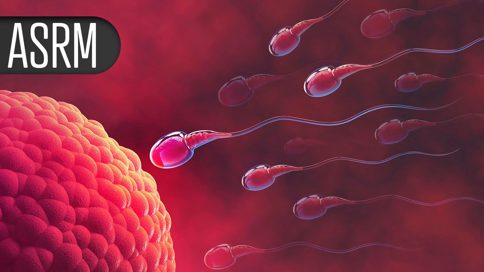 Extra genetic testing in young IVF patients cut costs but came with a ...